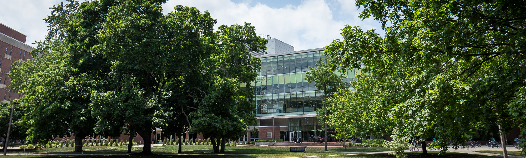 Read more about the article MSU Language Testing Group is excited to announce its first event of the 2020-2021 school year!