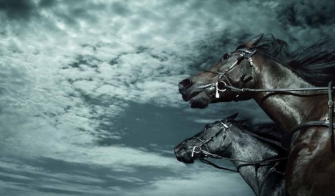 Read more about the article August’s Kind of from the Horse’s Mouth