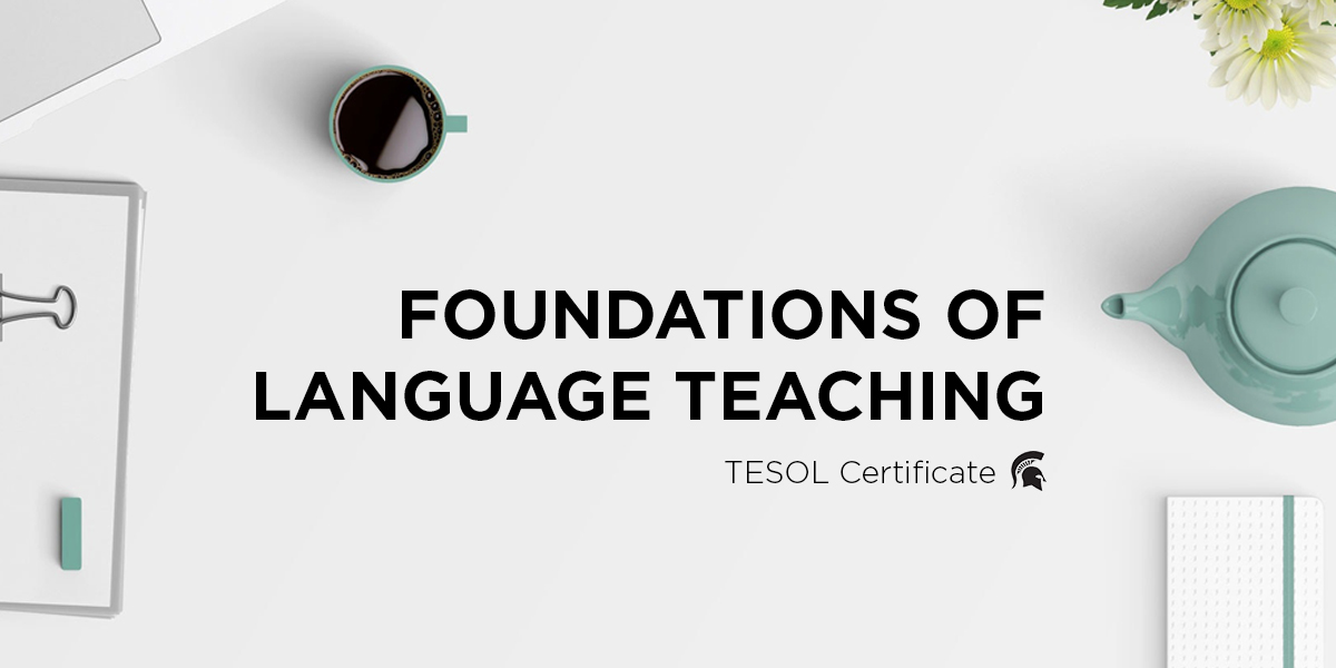 Read more about the article Foundations of Language Teaching