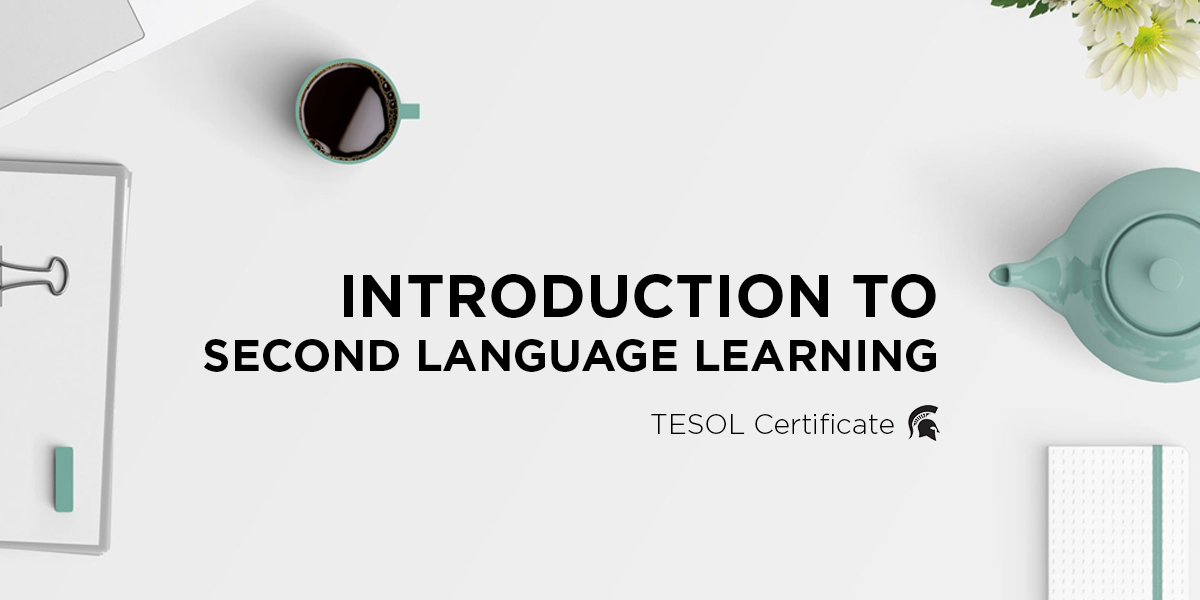 You are currently viewing Introduction to Second Language Learning