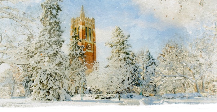You are currently viewing Happy holidays from Michigan State University