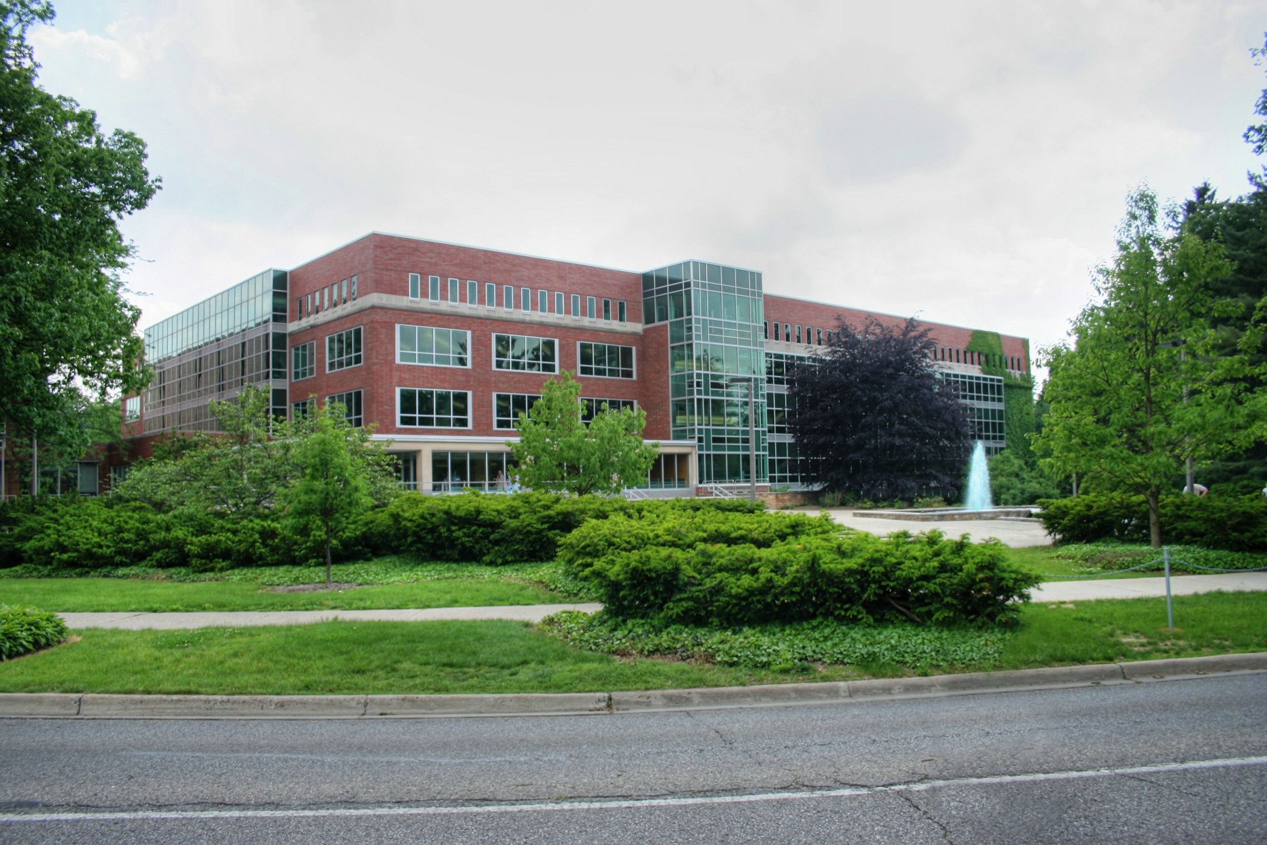 Read more about the article Sustainable “green wall” installed on campus bridge