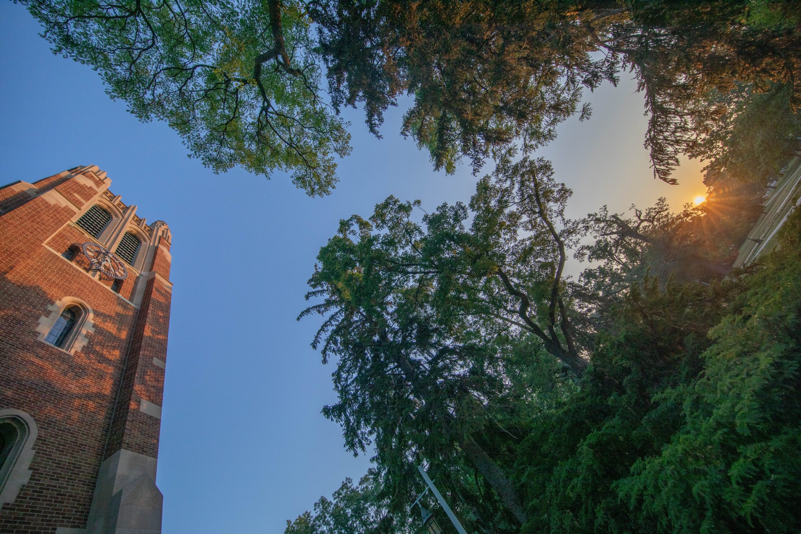 Read more about the article Eclipse Sunrise at MSU