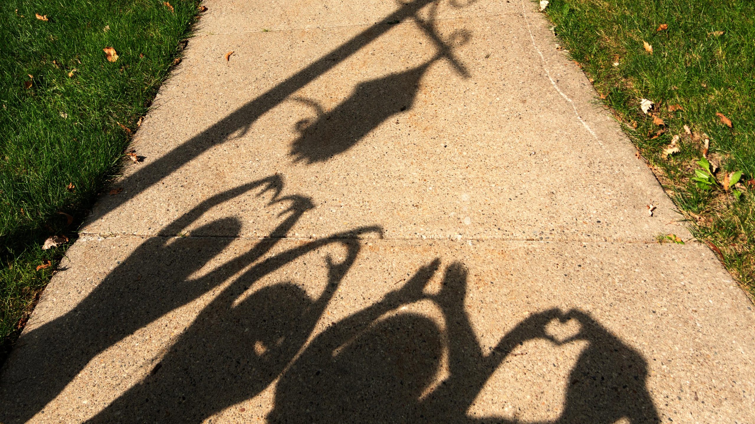 Read more about the article Spartan Friends and Shadows