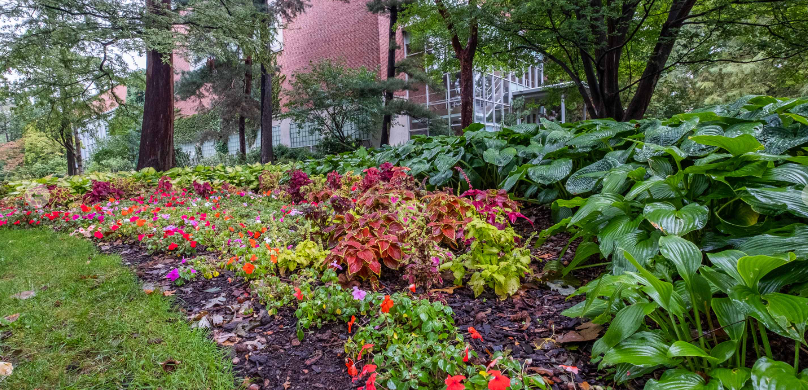 Read more about the article Seen on Campus – Fall MSU Today Version