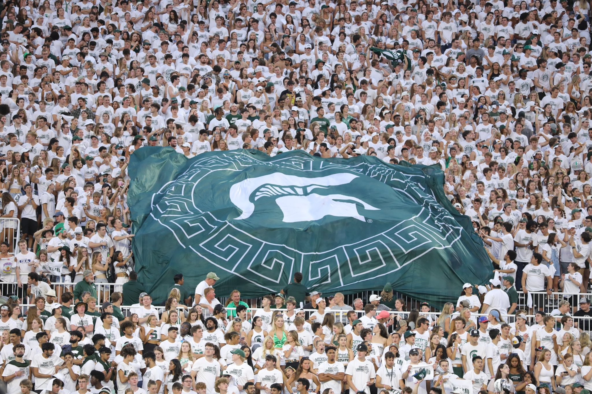 Read more about the article Packed the Woodshed