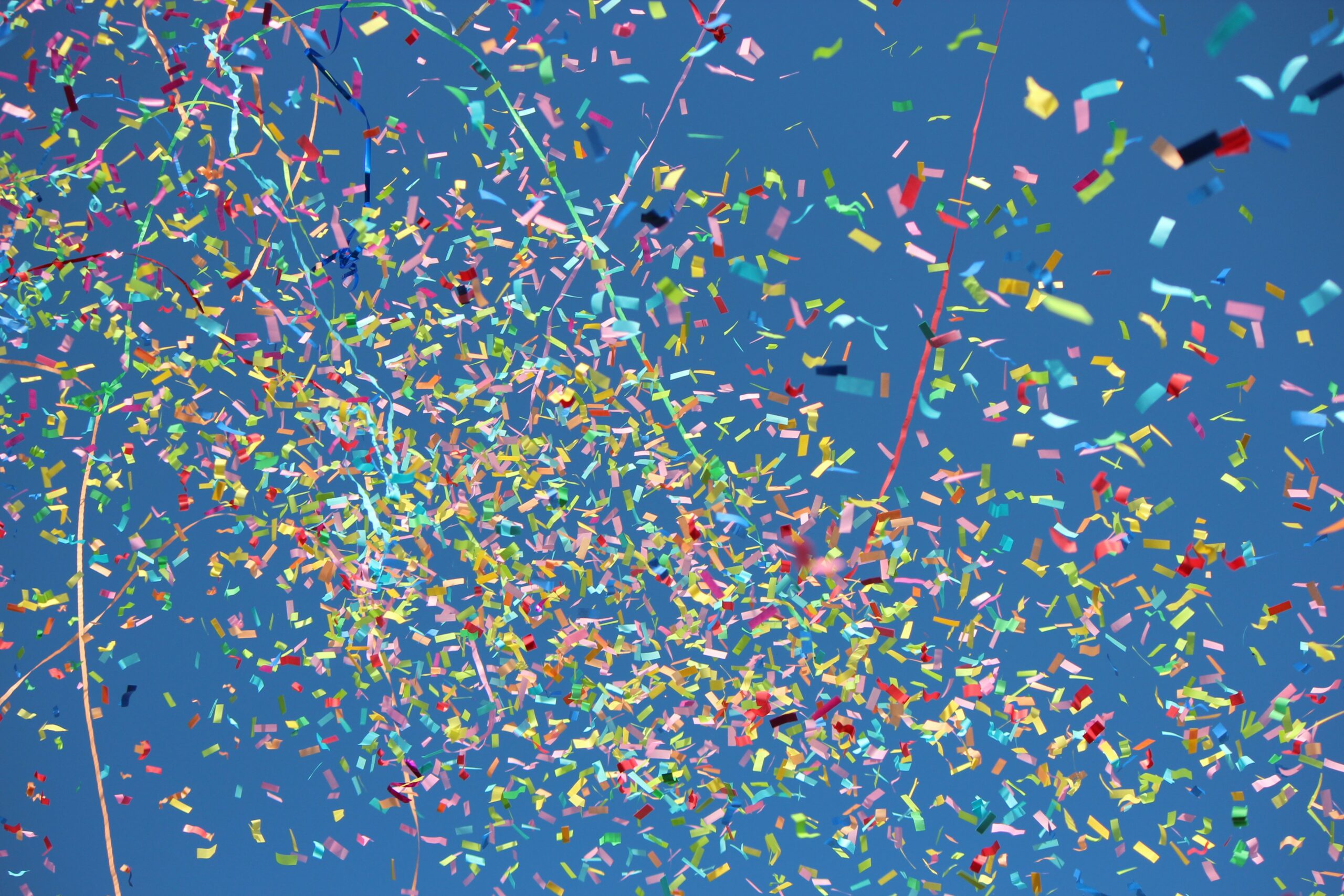 Read more about the article Certificate Holder: Tatiana Ananeva