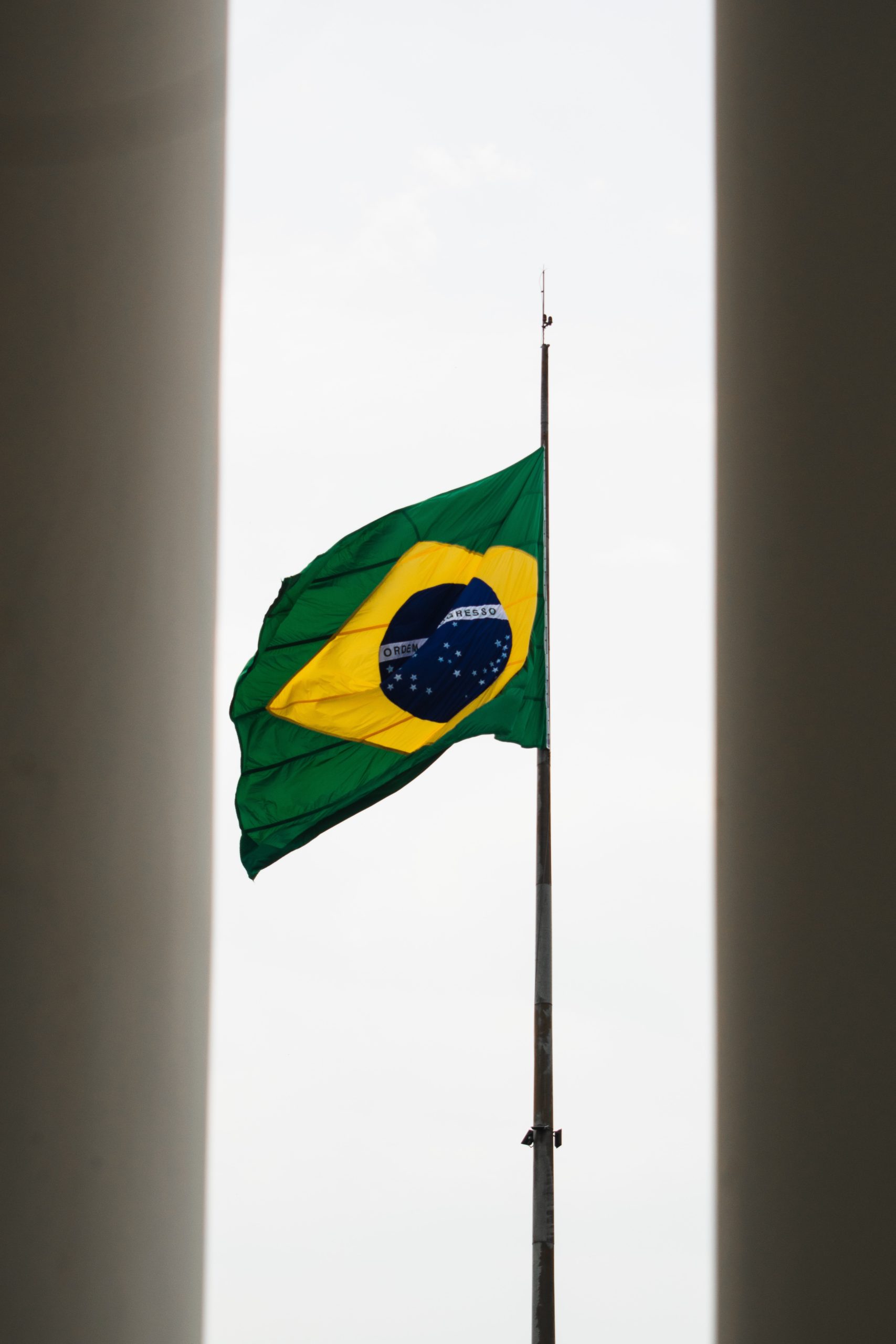 Read more about the article Welcome Back Brazil PDPI