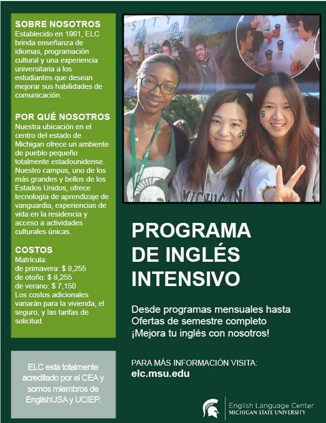 Read more about the article Por qué elegirnos