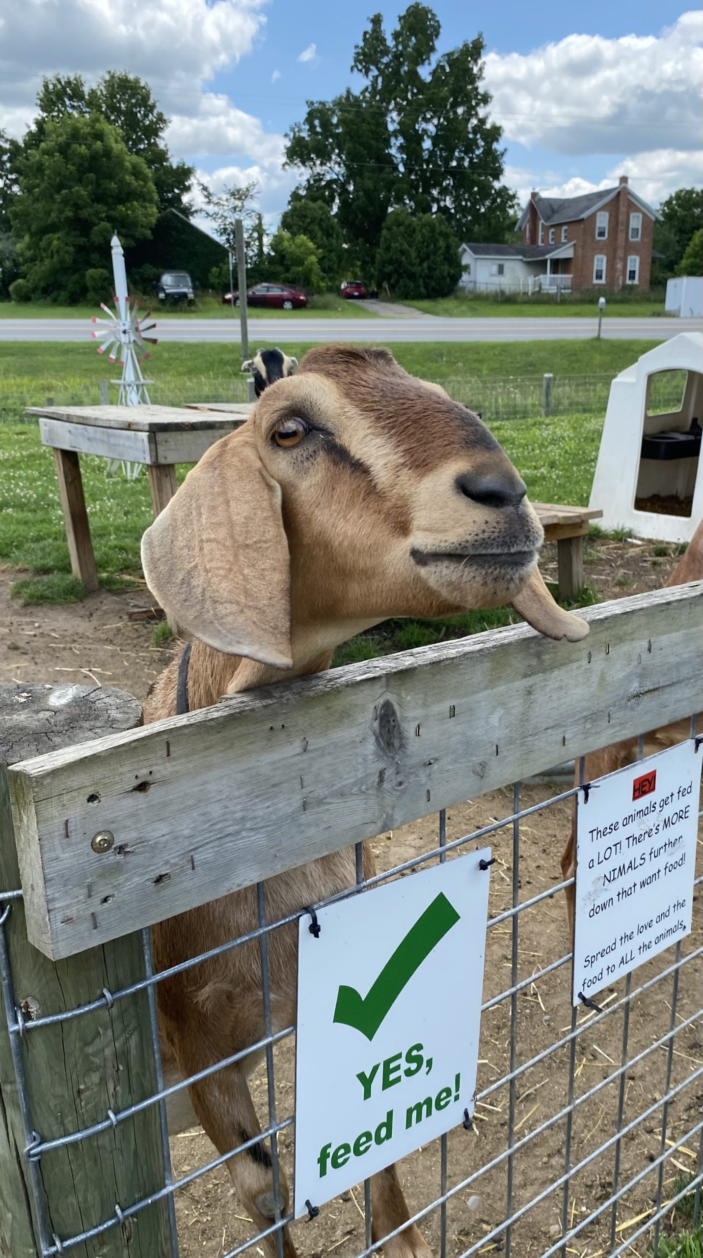 Read more about the article Sweet ELC Excursion