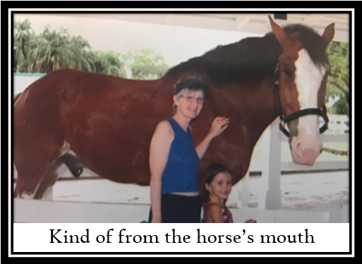 You are currently viewing July’s Kind of from the Horse’s Mouth