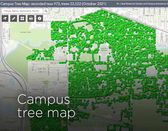 Interested in Trees on Campus